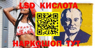 амф Новодвинск