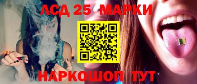 амф Новодвинск