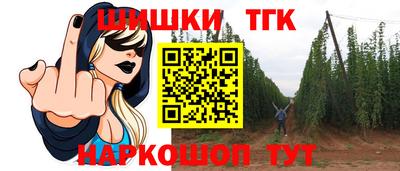 амф Новодвинск