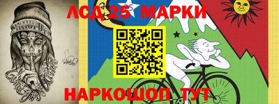 амф Новодвинск