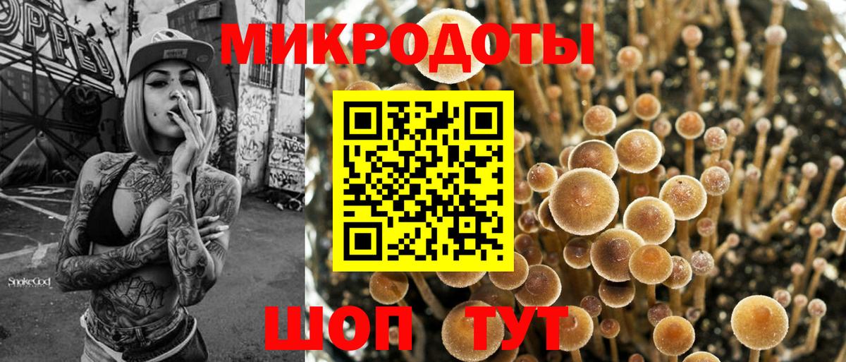 Псилоцибиновые грибы Psilocybine cubensis Сосновый Бор