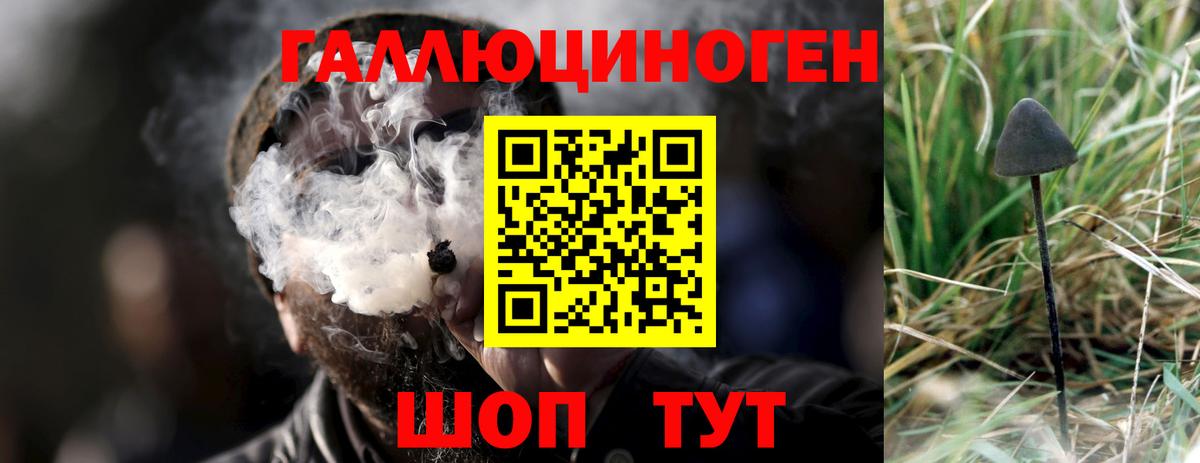 закладки  Вход с VPN  Сосновый Бор  Псилоцибиновые грибы ЛСД 