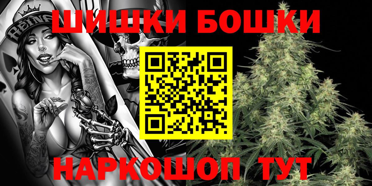 Конопля сатива Сосновый Бор